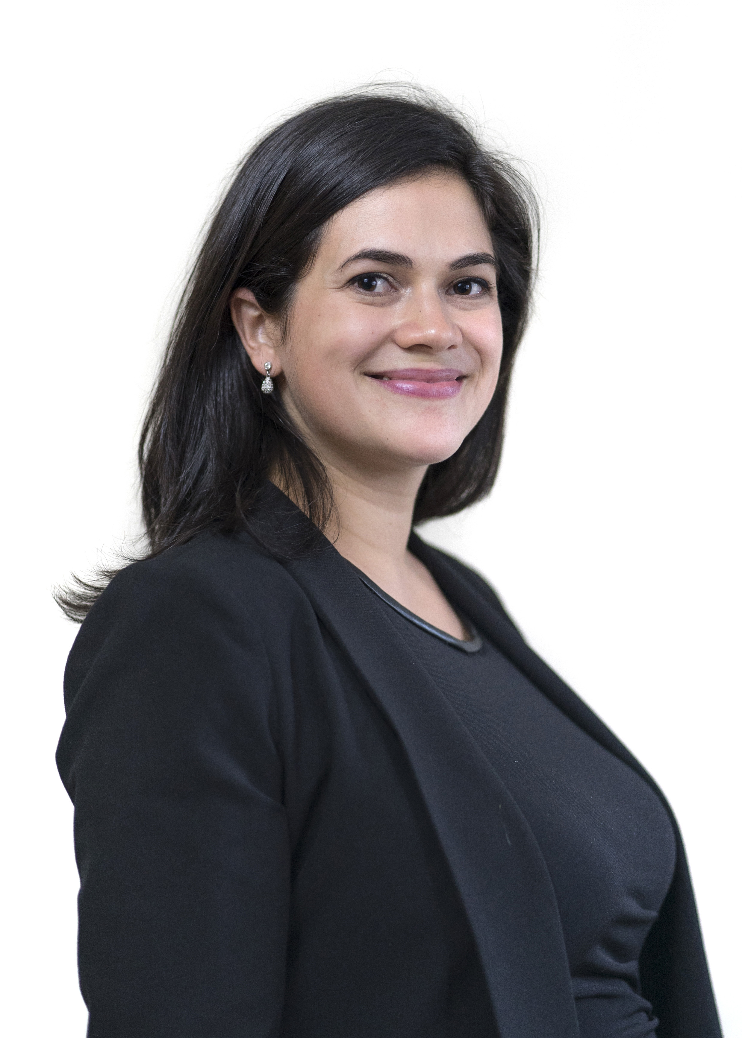 Family Law, Immigration Law, and civil litigation attorney at Kalman Samuels